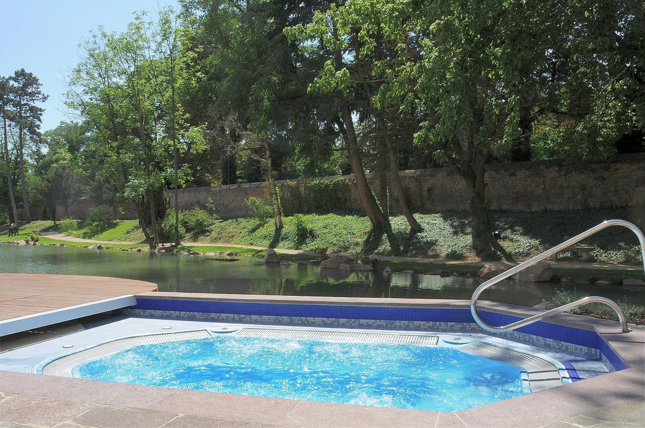 Hotel Spa Restaurant Domaine Du Moulin Ensisheim Ngoại thất bức ảnh